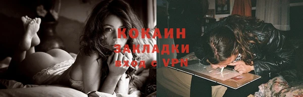 гидра Бронницы