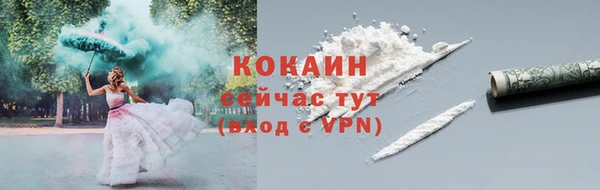a pvp Бородино