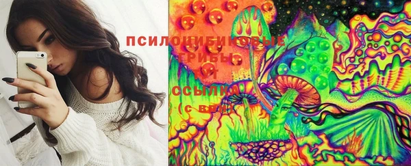 соль ск Верея