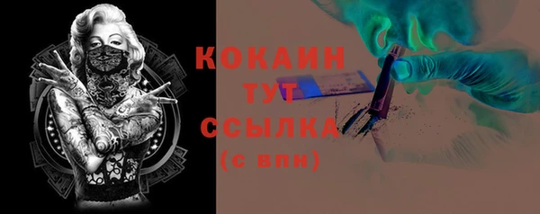 a pvp Бородино