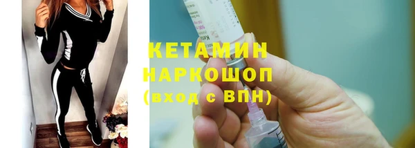прущие грибы Саяногорск