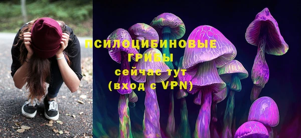 гидра Бронницы