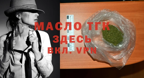 амф Верхний Тагил
