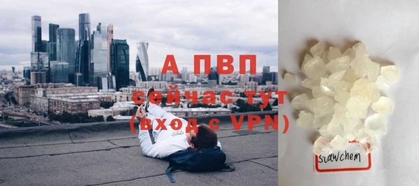a pvp Бородино