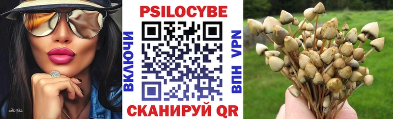 Галлюциногенные грибы мицелий Щучье