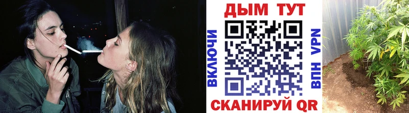 Купить где  Щучье  МАРИХУАНА индика 